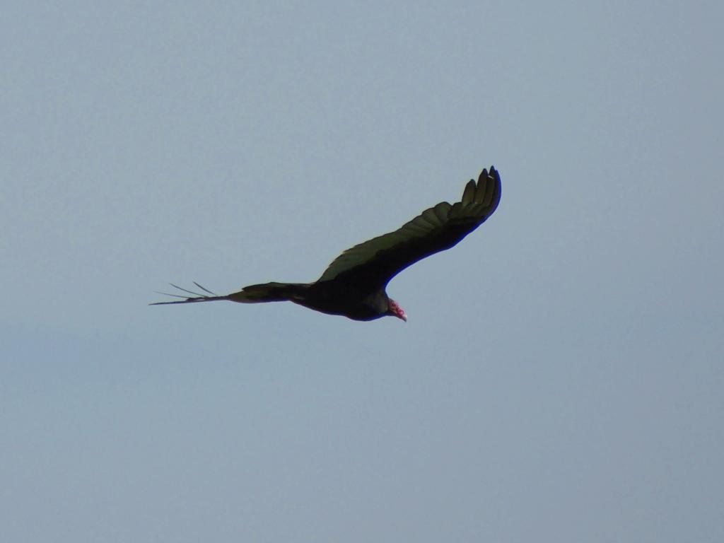 DSCN9040.jpg