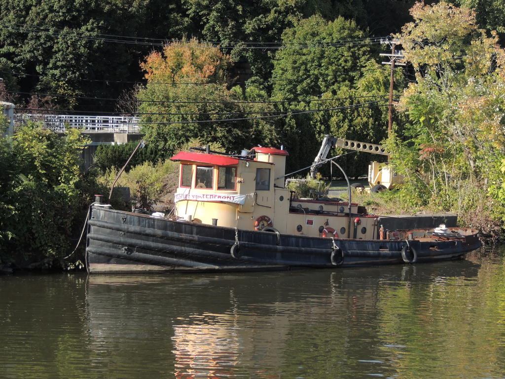 DSCN9041.jpg