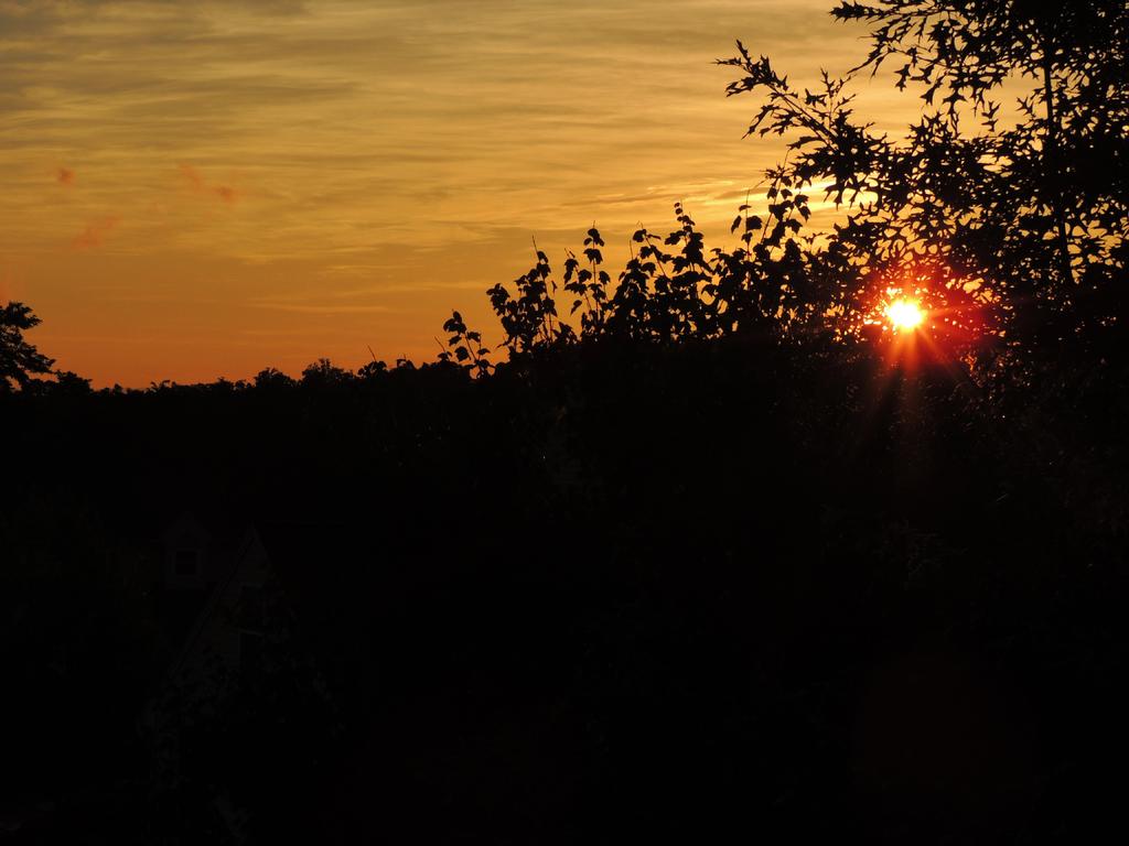 DSCN9053.jpg