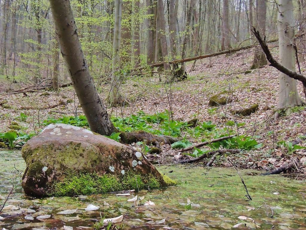 DSCN9056.jpg