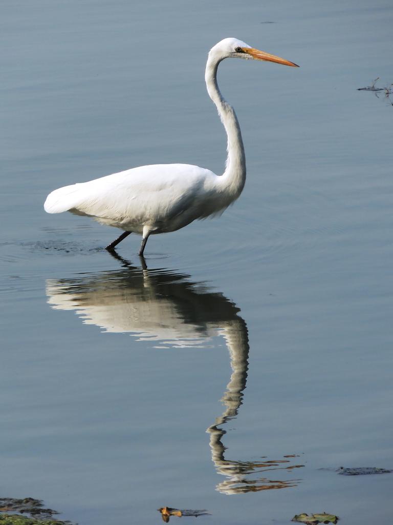 DSCN9058.jpg