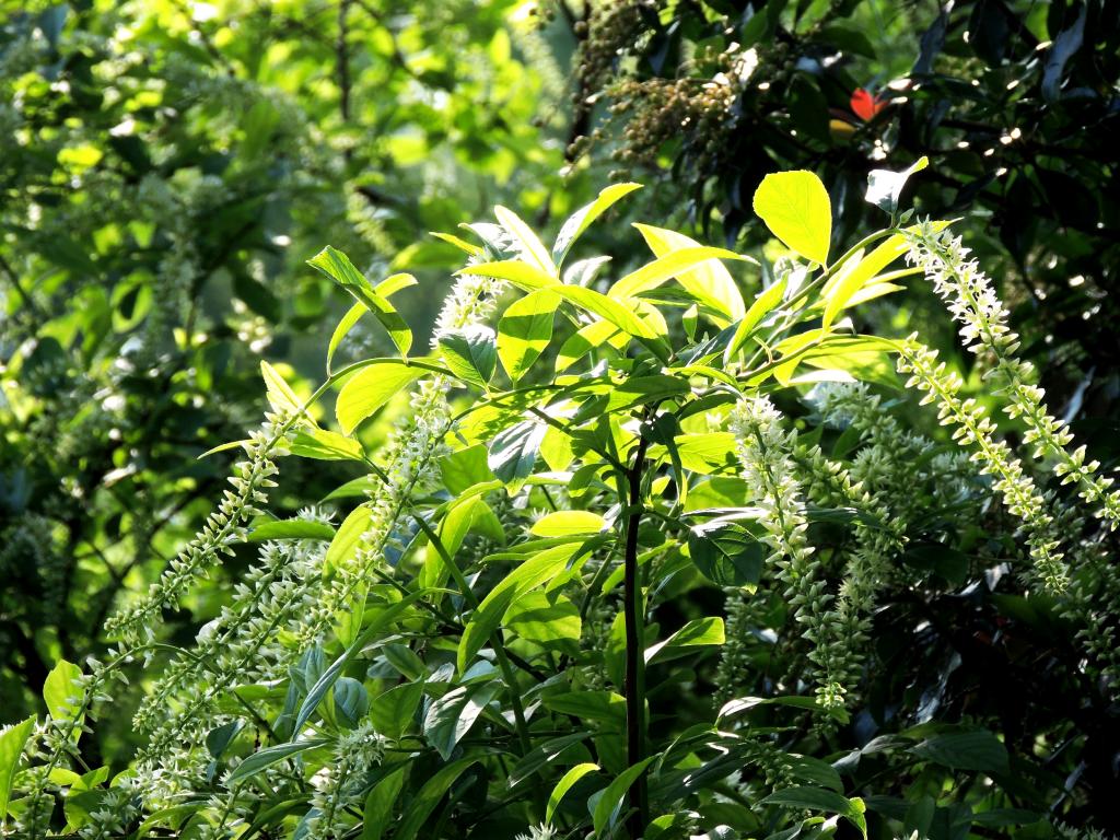 DSCN9060.jpg