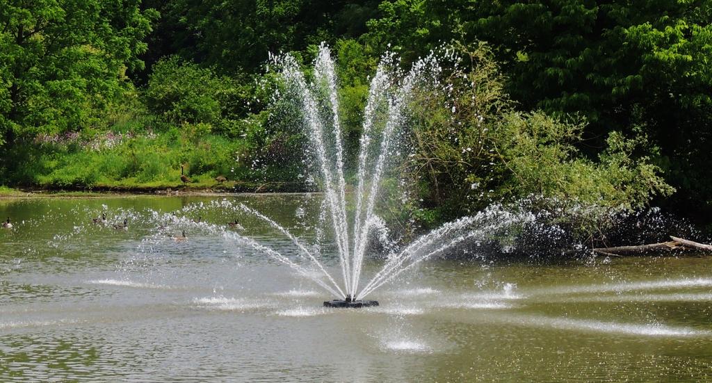 DSCN9066.jpg