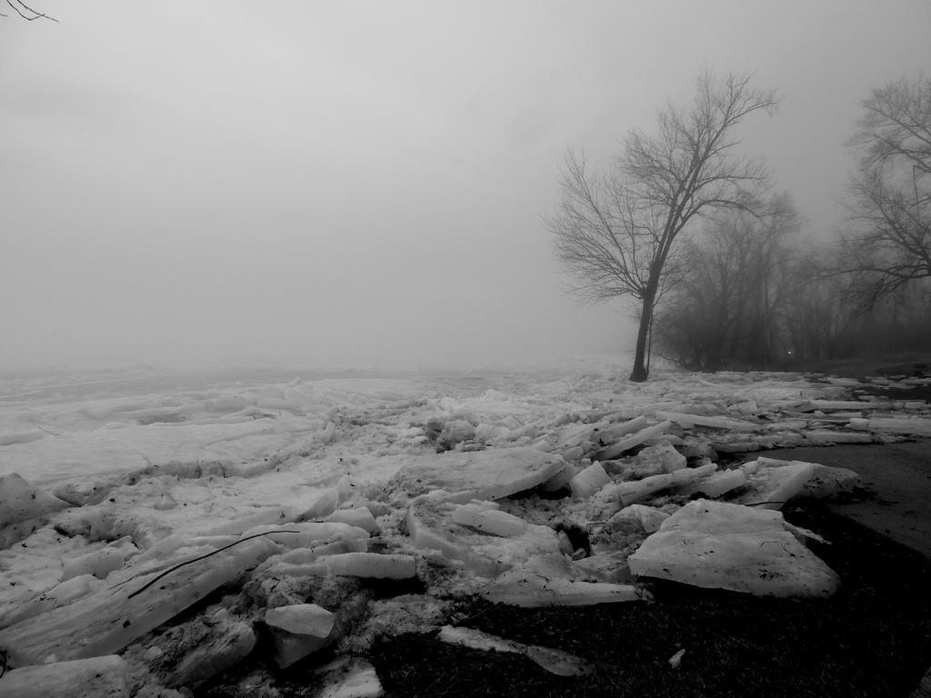 DSCN9069.jpg