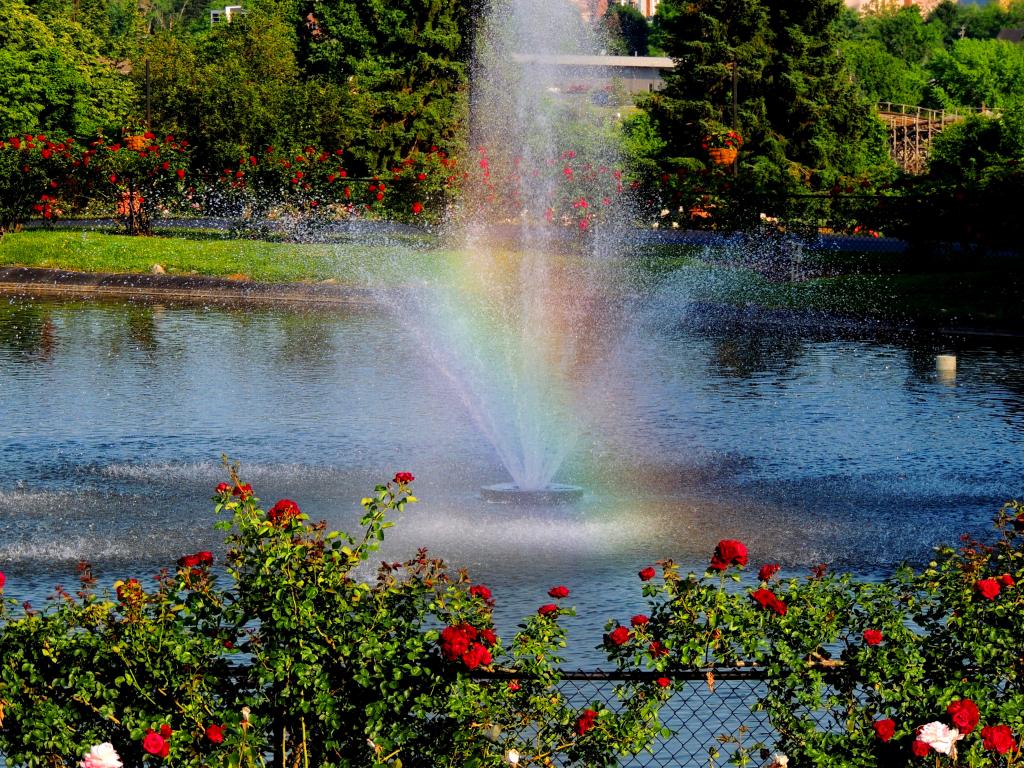 DSCN9074.jpg