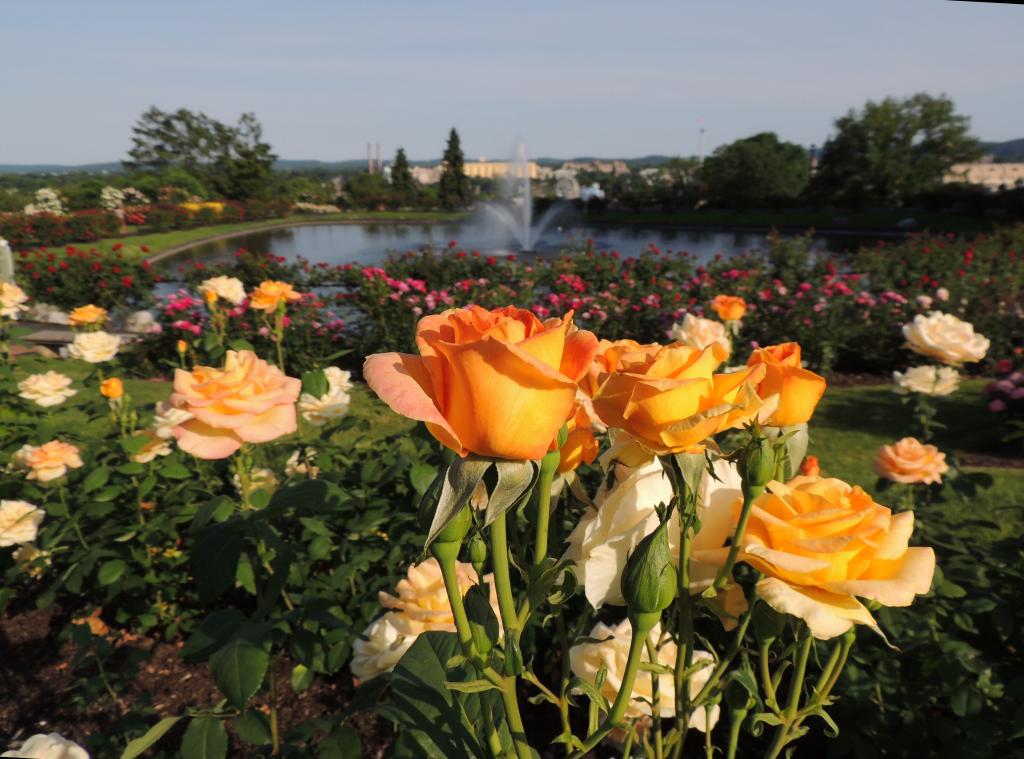 DSCN9076.jpg