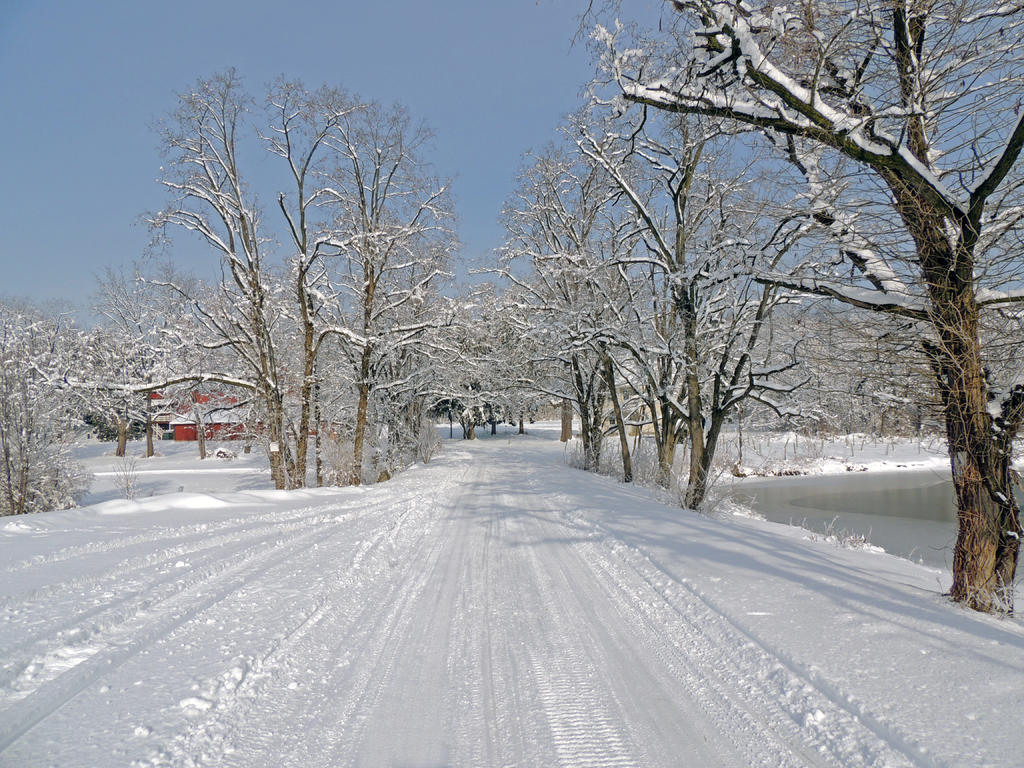 DSCN9078.jpg