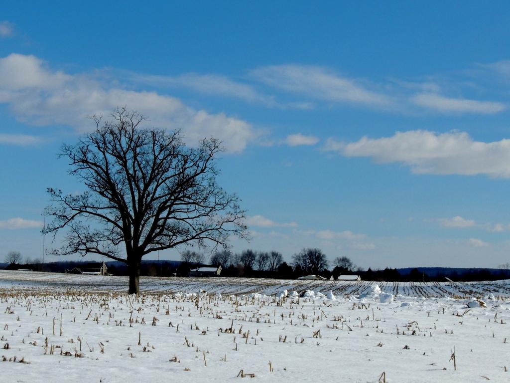 DSCN9081.jpg