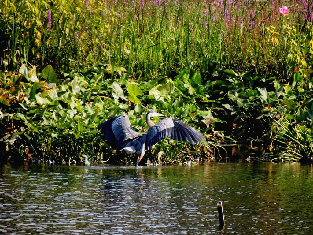 DSCN9084.jpg