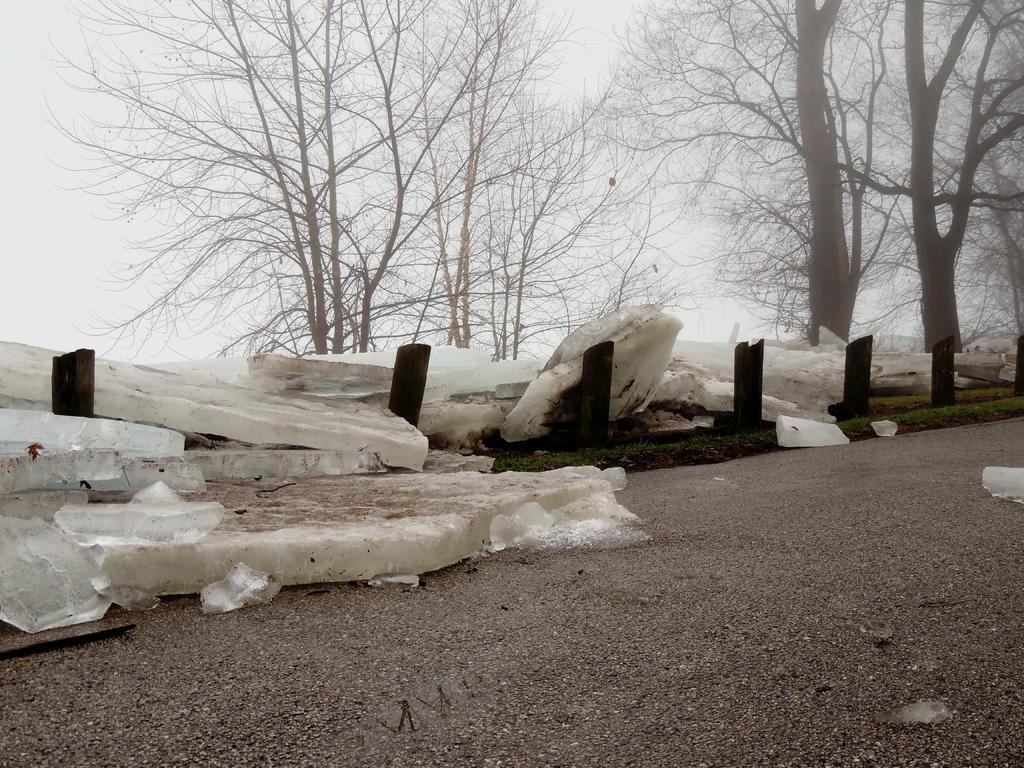 DSCN9088.jpg