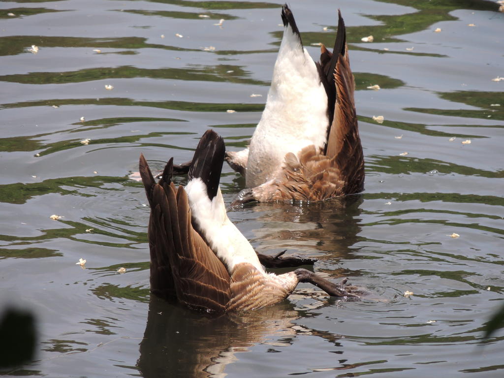 DSCN9091.jpg
