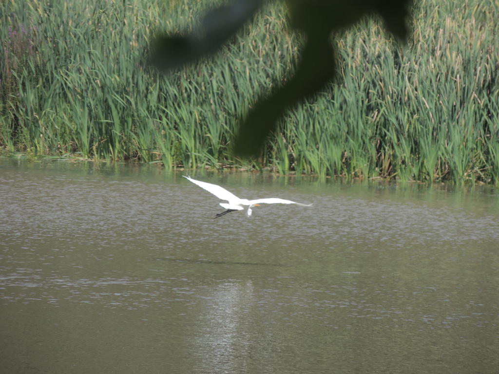 DSCN9094.jpg