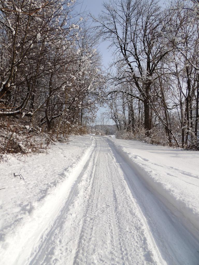 DSCN9094.jpg
