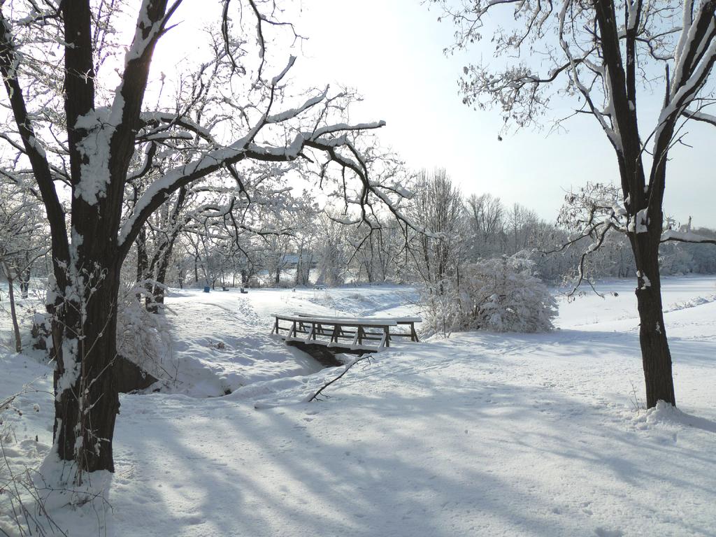 DSCN9096.jpg