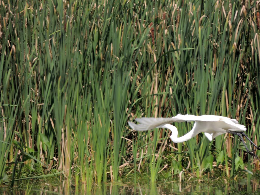 DSCN9097.jpg