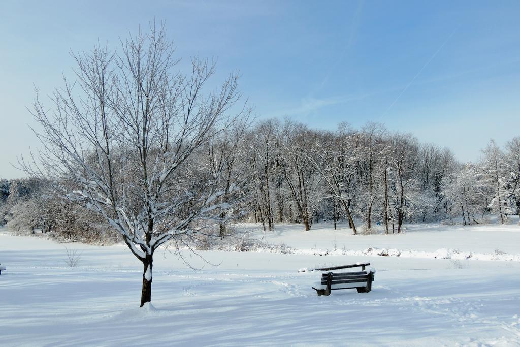 DSCN9104.jpg