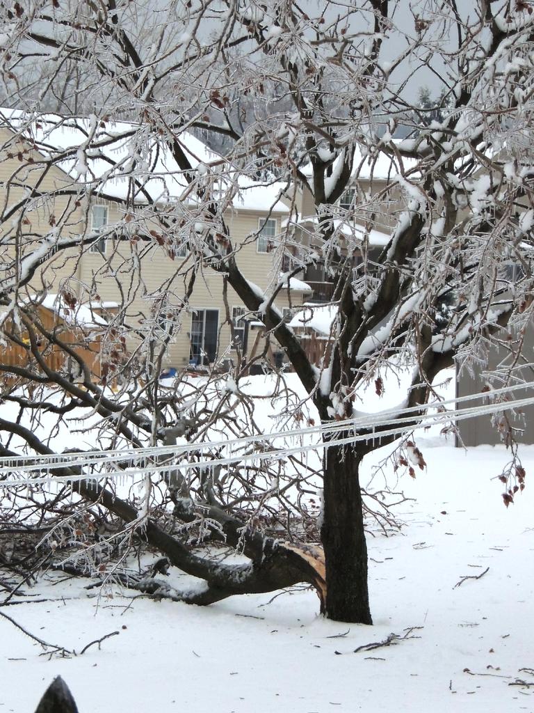 DSCN9123.jpg