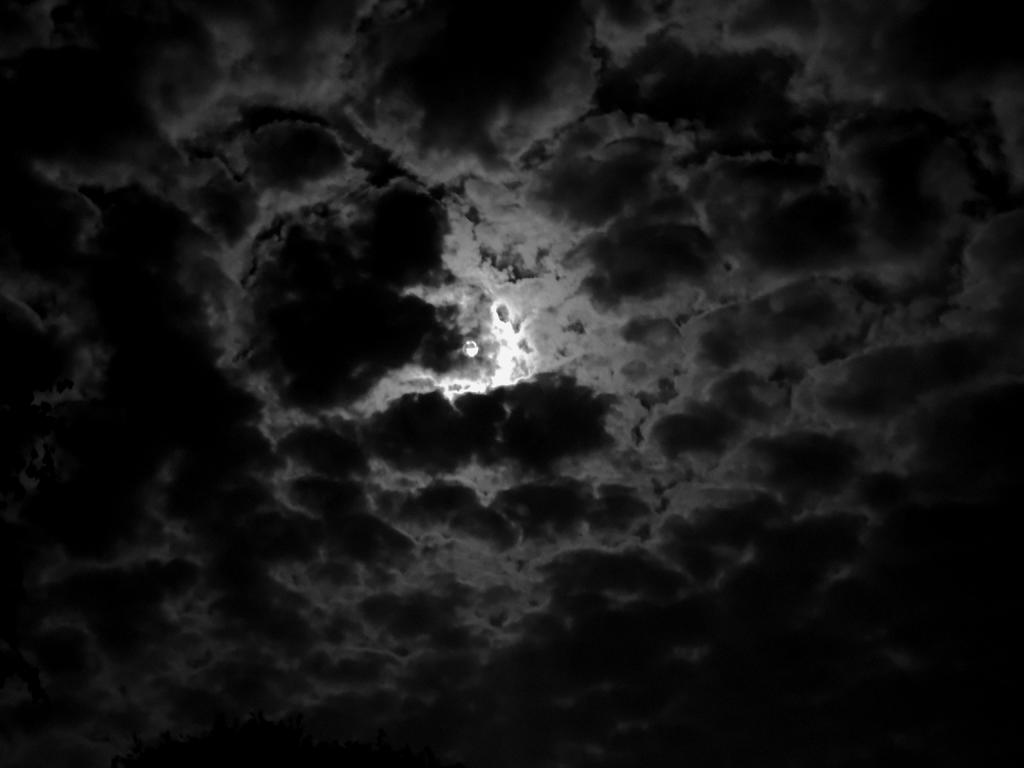 DSCN9125.jpg