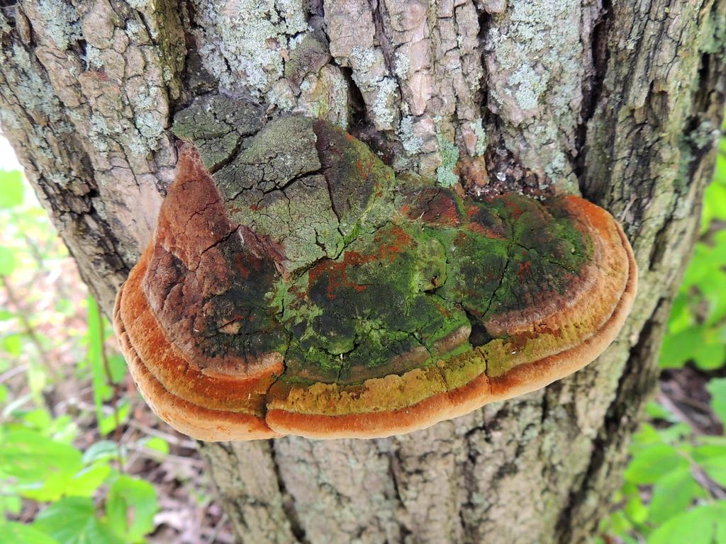 DSCN9125.jpg