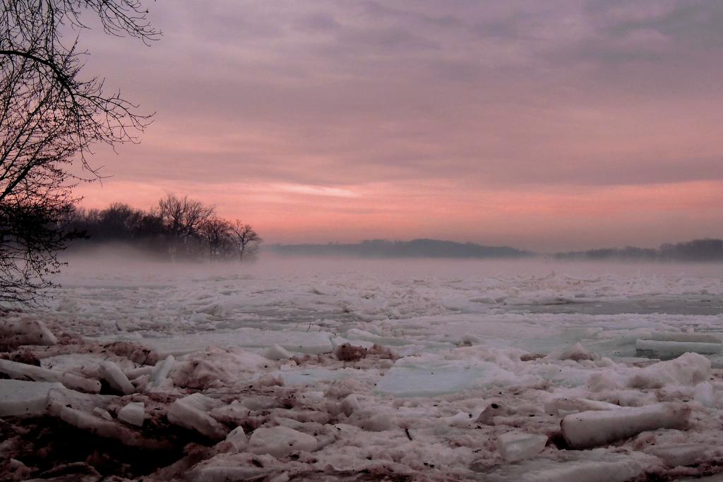 DSCN9130.jpg