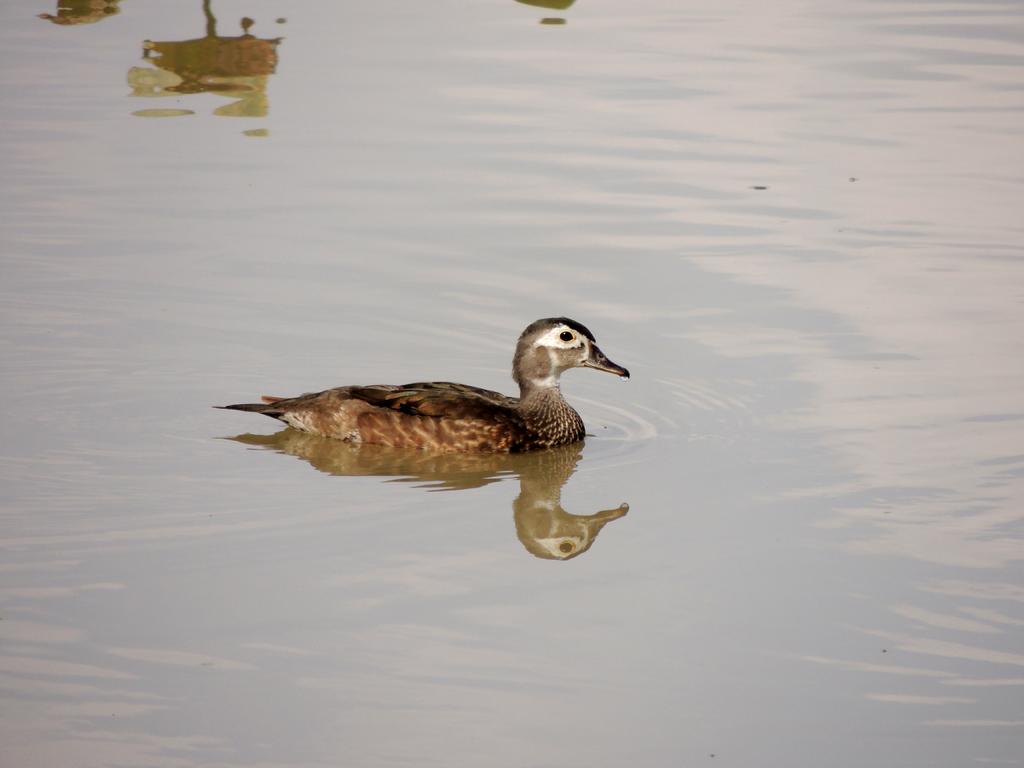 DSCN9143.jpg