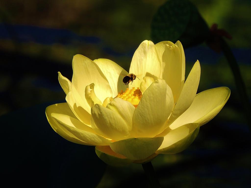 DSCN9148.jpg