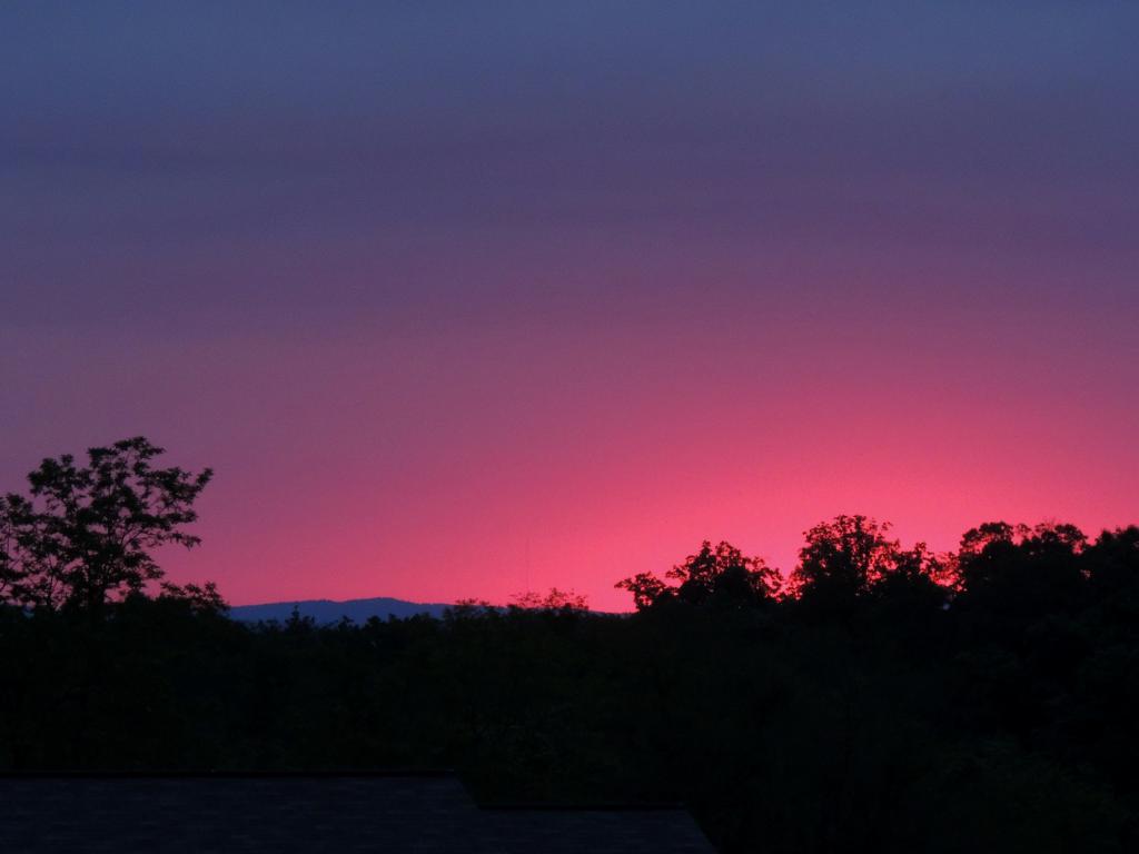DSCN9151.jpg