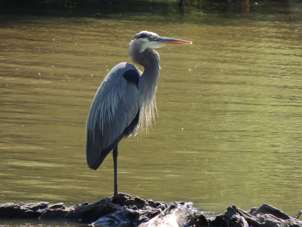 DSCN9153.jpg