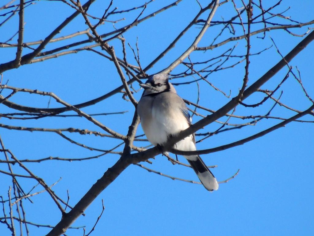 DSCN9157.jpg