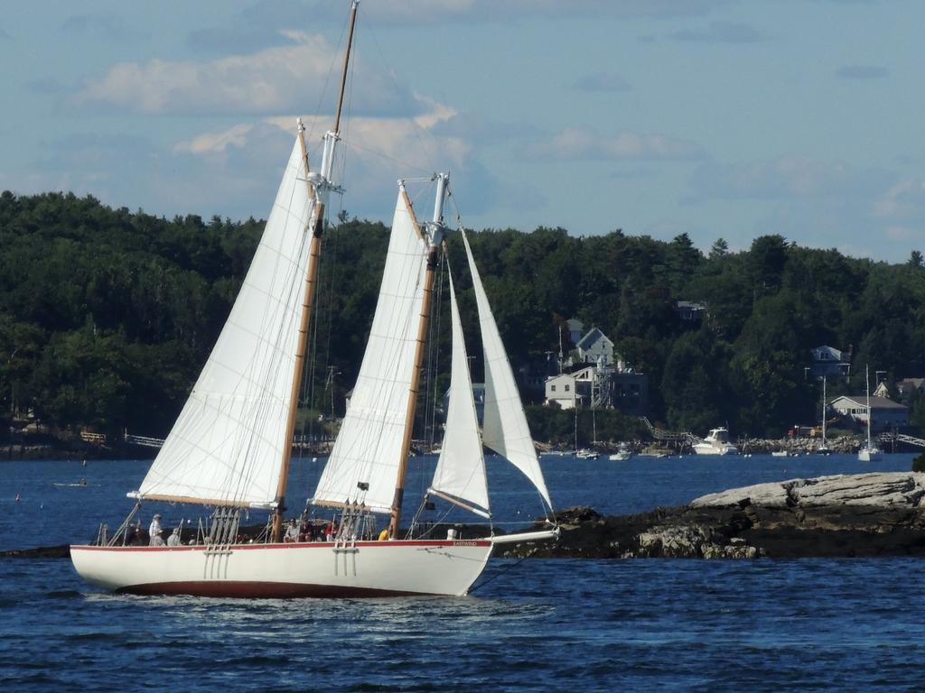 DSCN9168.jpg