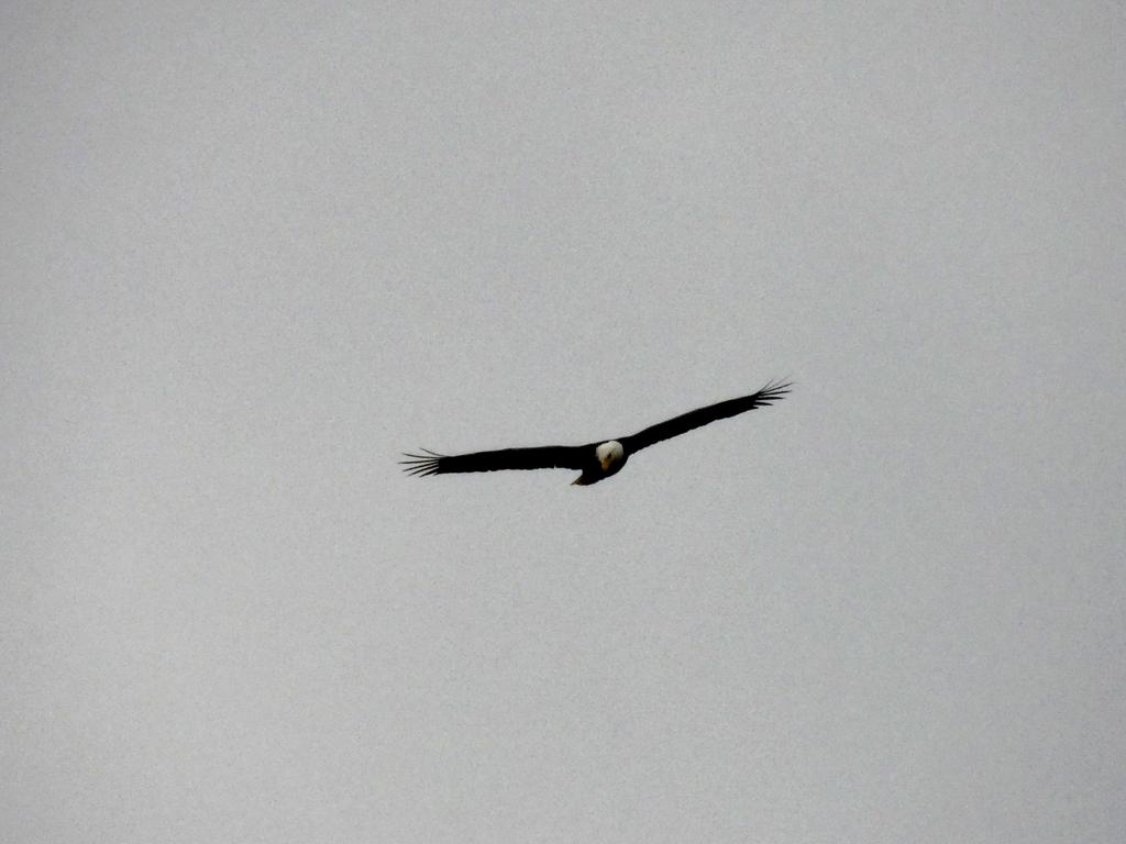 DSCN9169.jpg