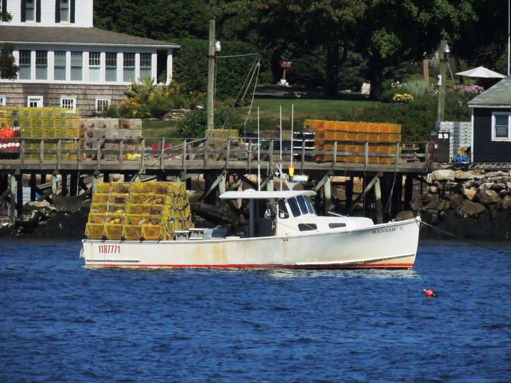DSCN9175.jpg