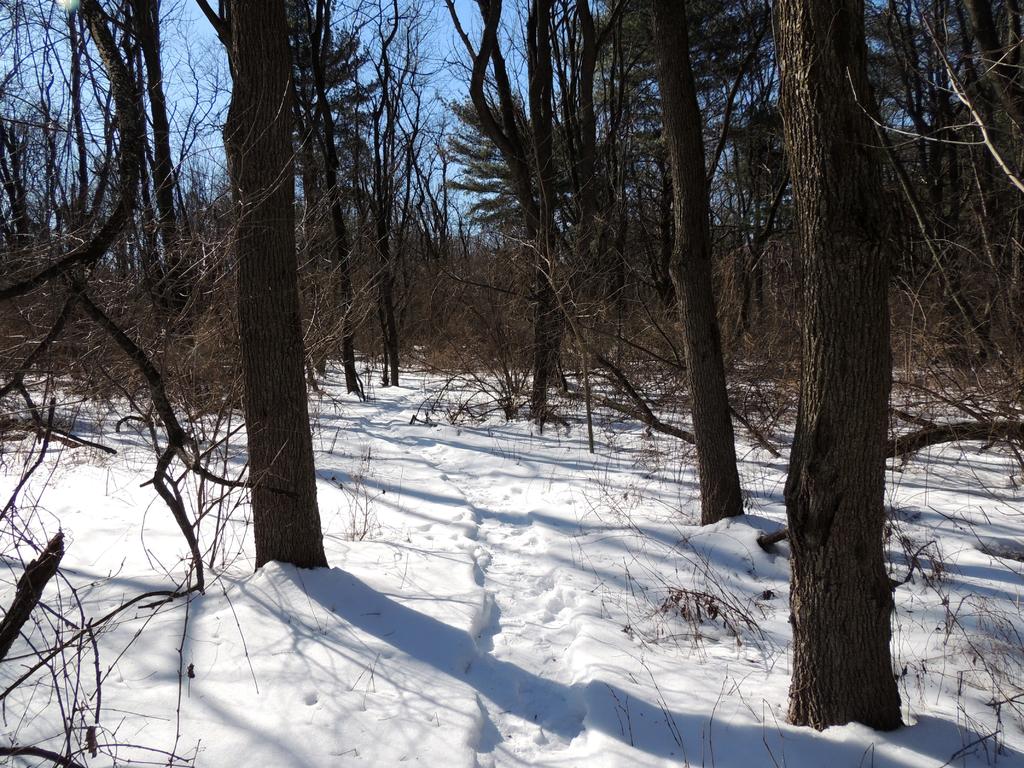 DSCN9180.jpg