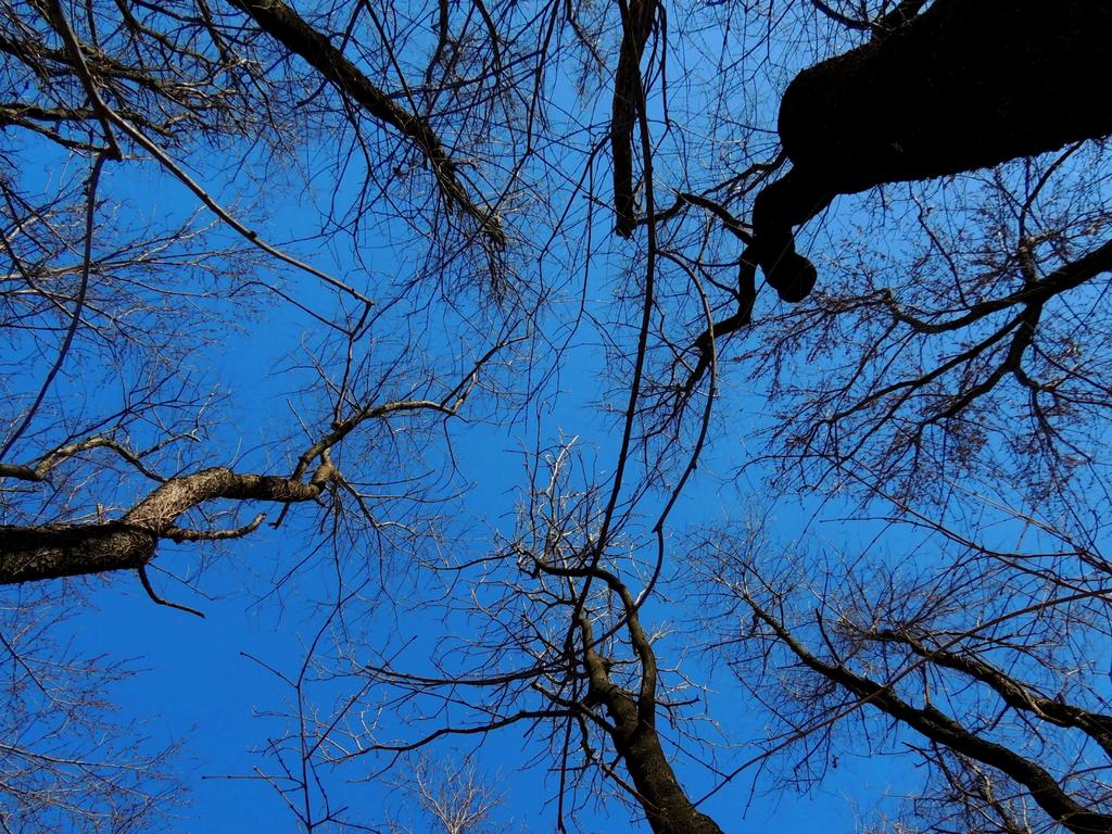DSCN9181.jpg