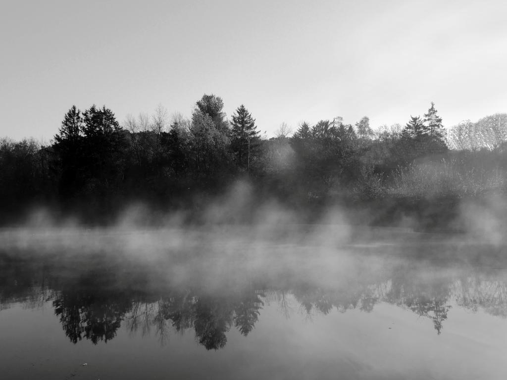 DSCN9186a.jpg