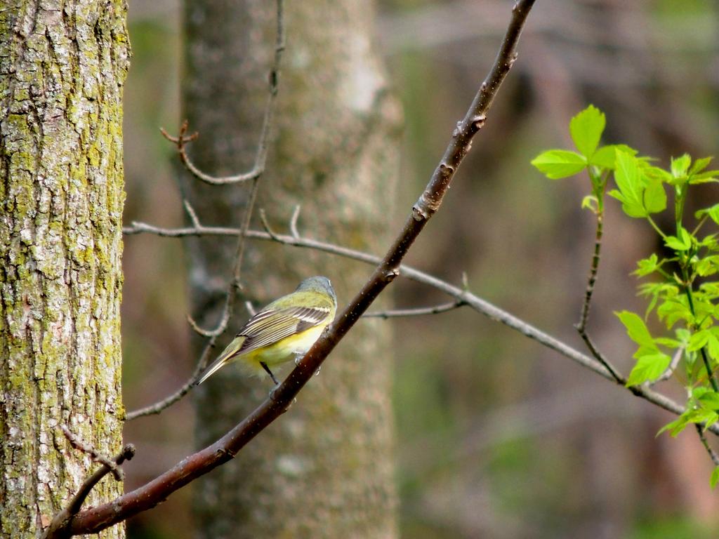 DSCN9188.jpg