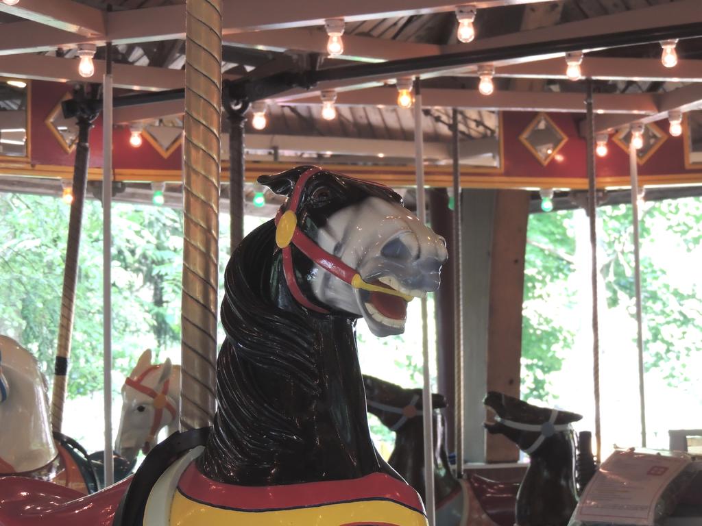 DSCN9192.jpg
