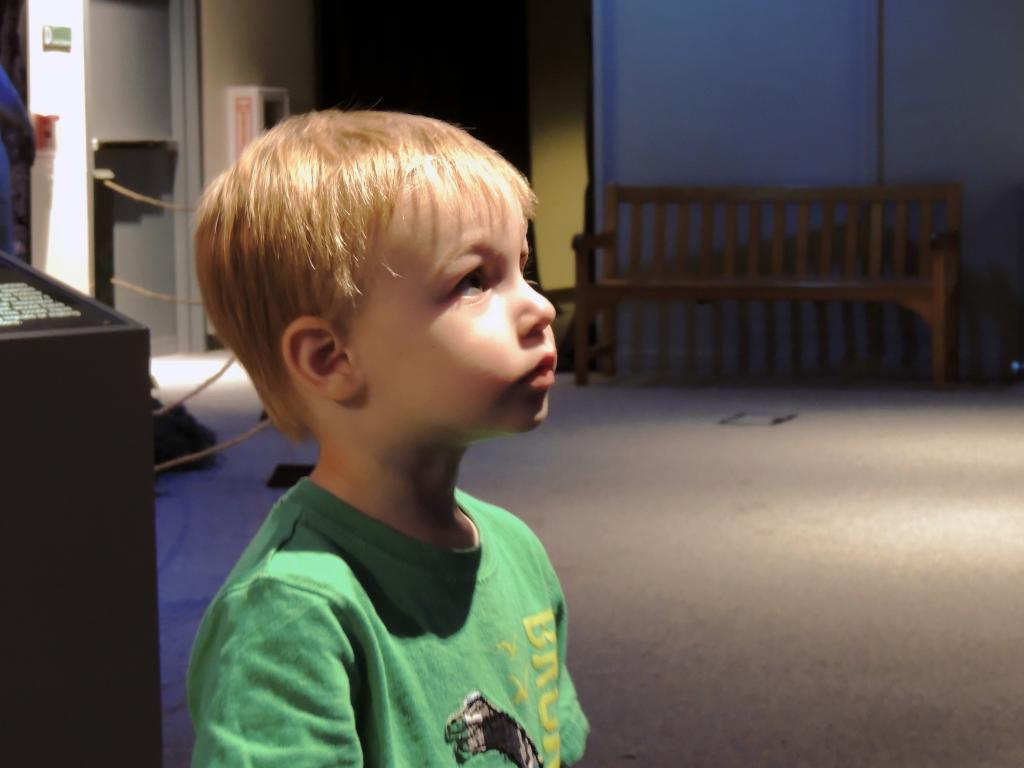 DSCN9196a.jpg