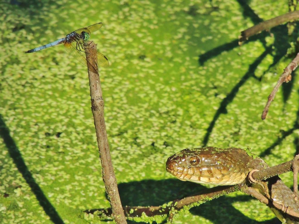 DSCN9212.jpg