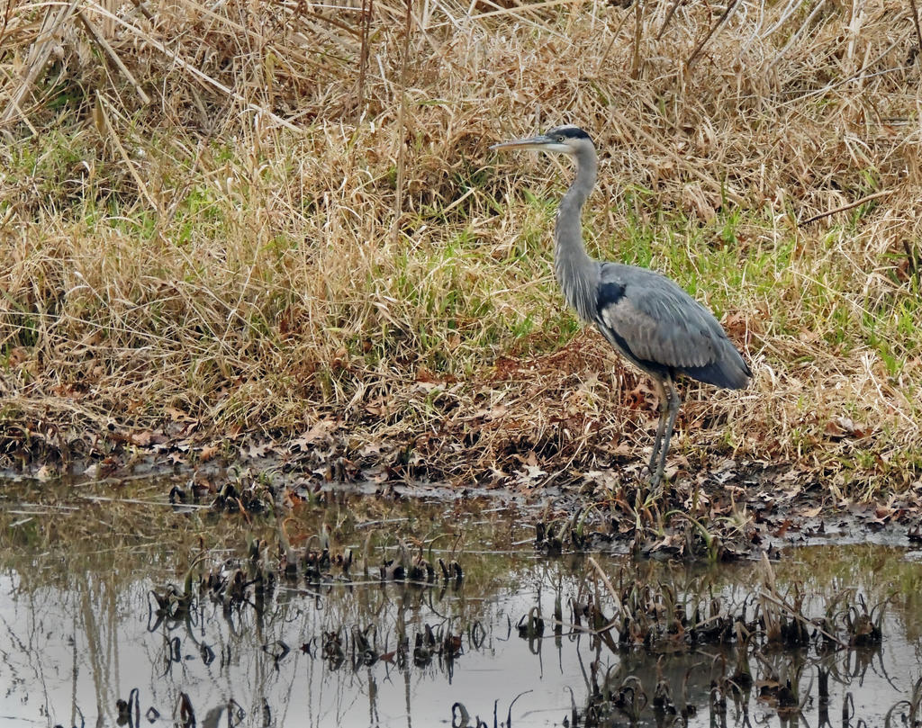 DSCN9226.jpg