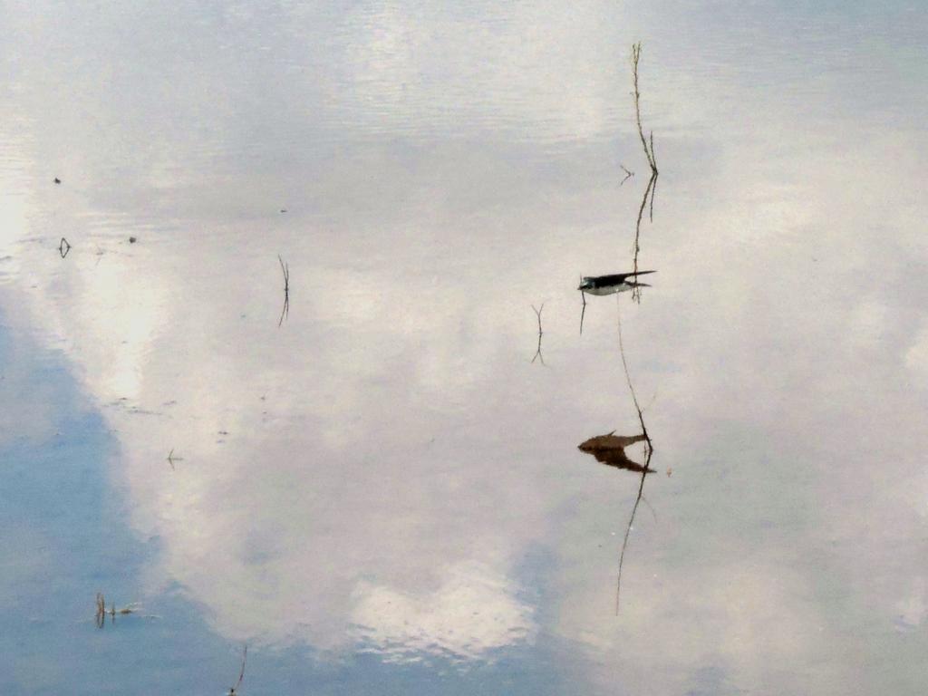DSCN9240.jpg