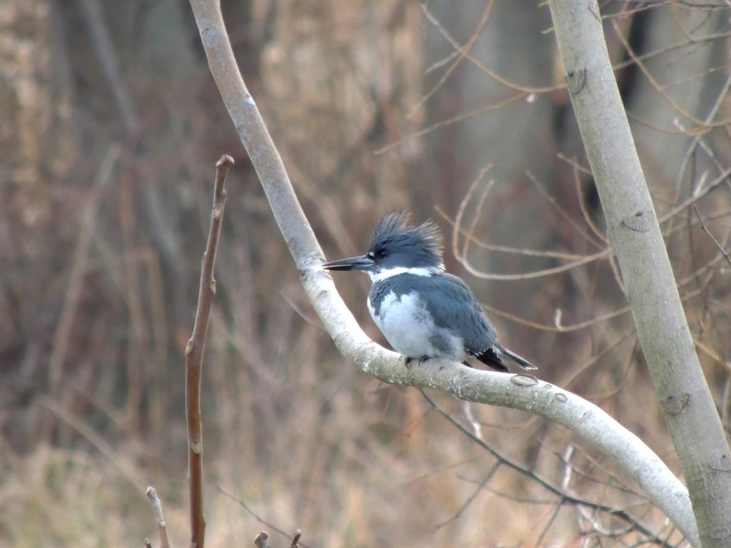 DSCN9256.jpg