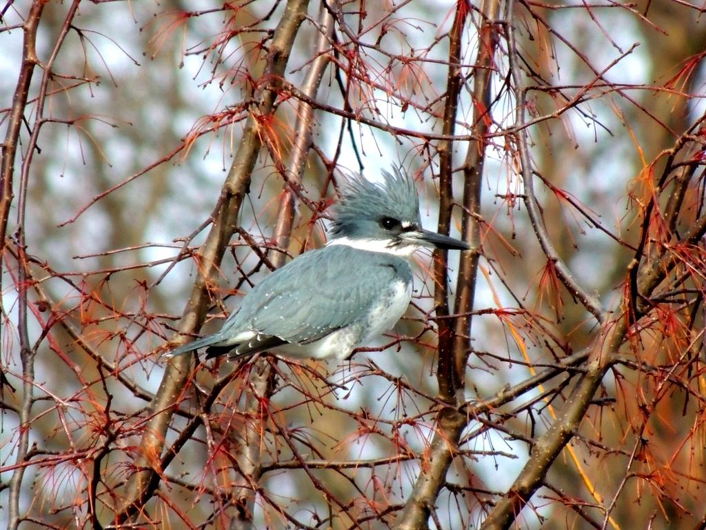 DSCN9262.jpg