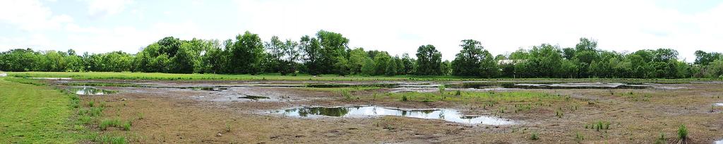 DSCN9263.jpg