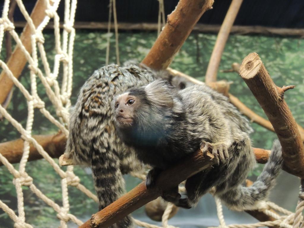 DSCN9270.jpg