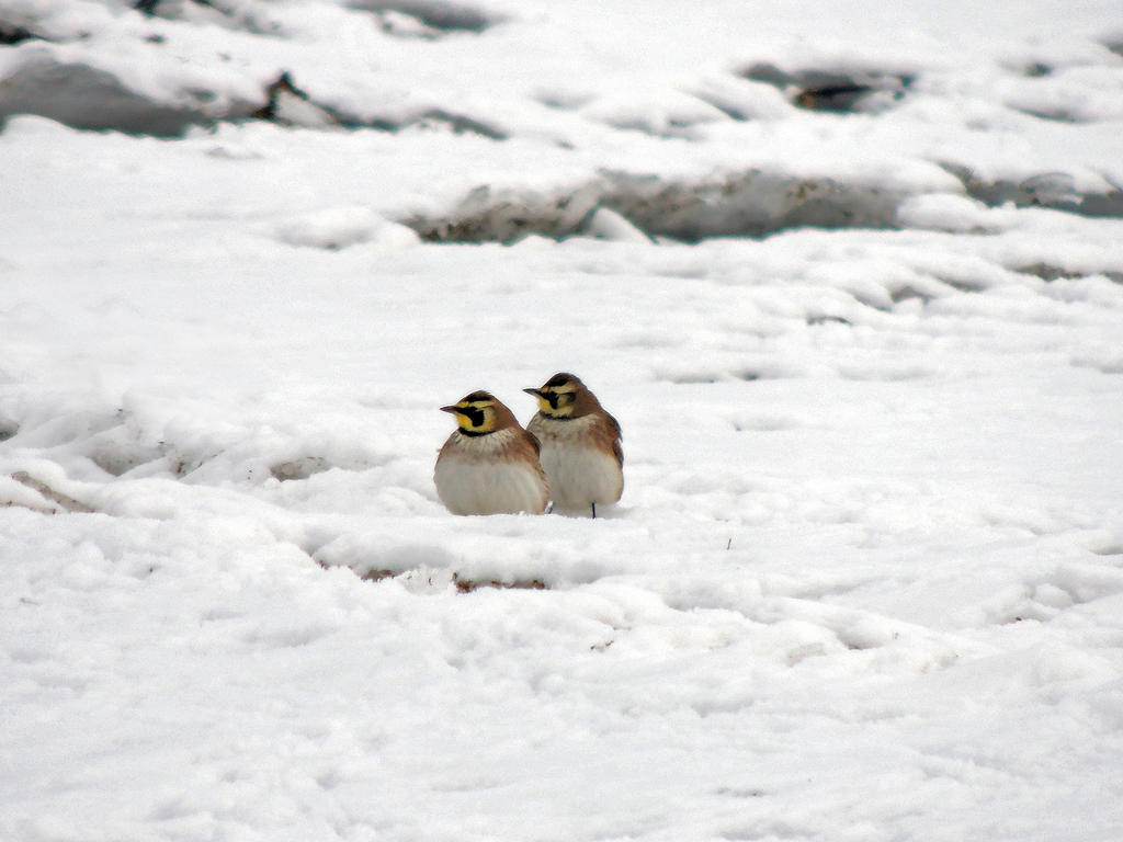 DSCN9279_edited-1.jpg