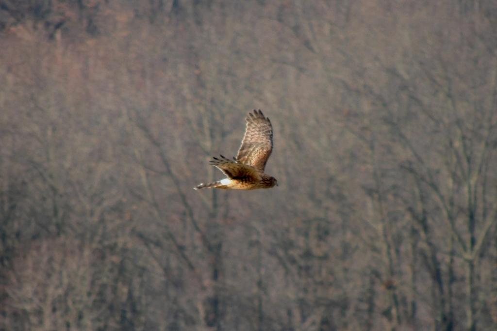 DSCN9289.jpg