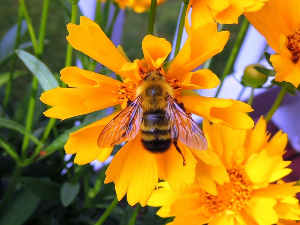 DSCN9309.jpg