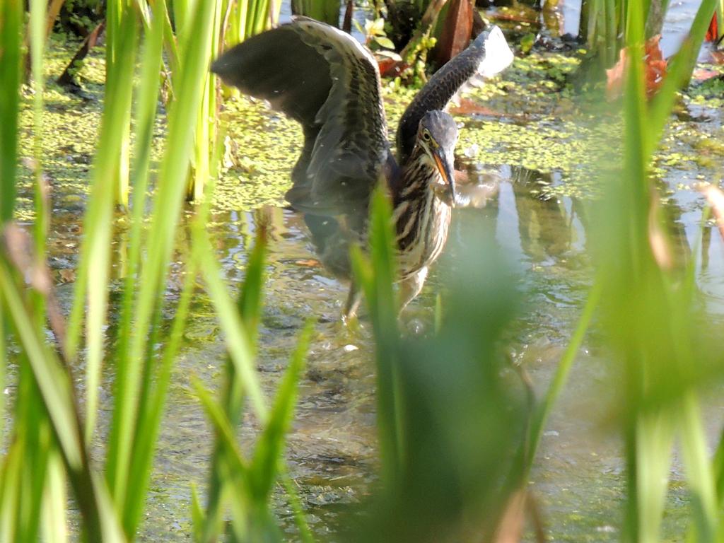 DSCN9310.jpg