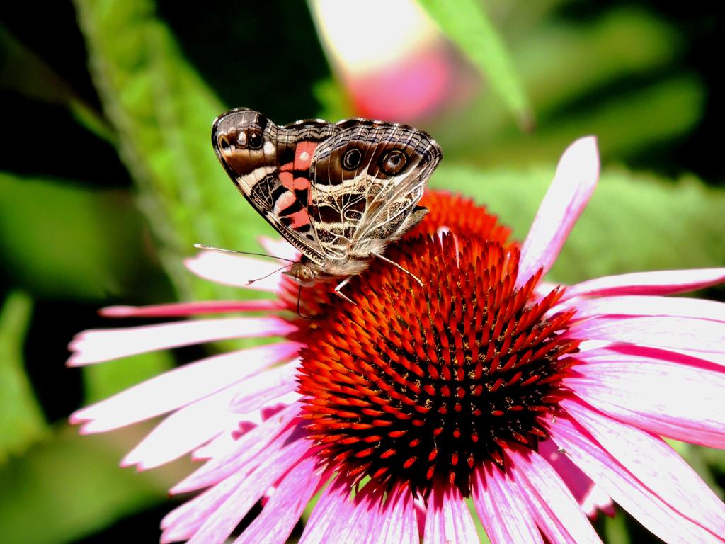 DSCN9317.jpg